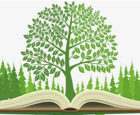 下列小說作品中，構(gòu)思視角獨到，以小見大的有(　)__自考《大學(xué)語文》真題