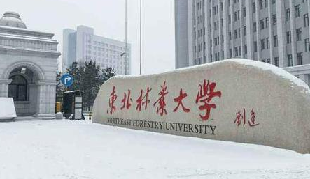 東北林業(yè)大學成人高考2021年專業(yè)【最新】