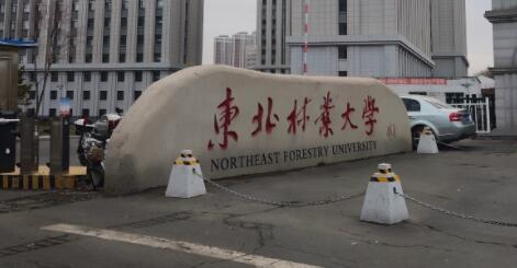 東北林業(yè)大學成人教育學院招生專業(yè)【最新】